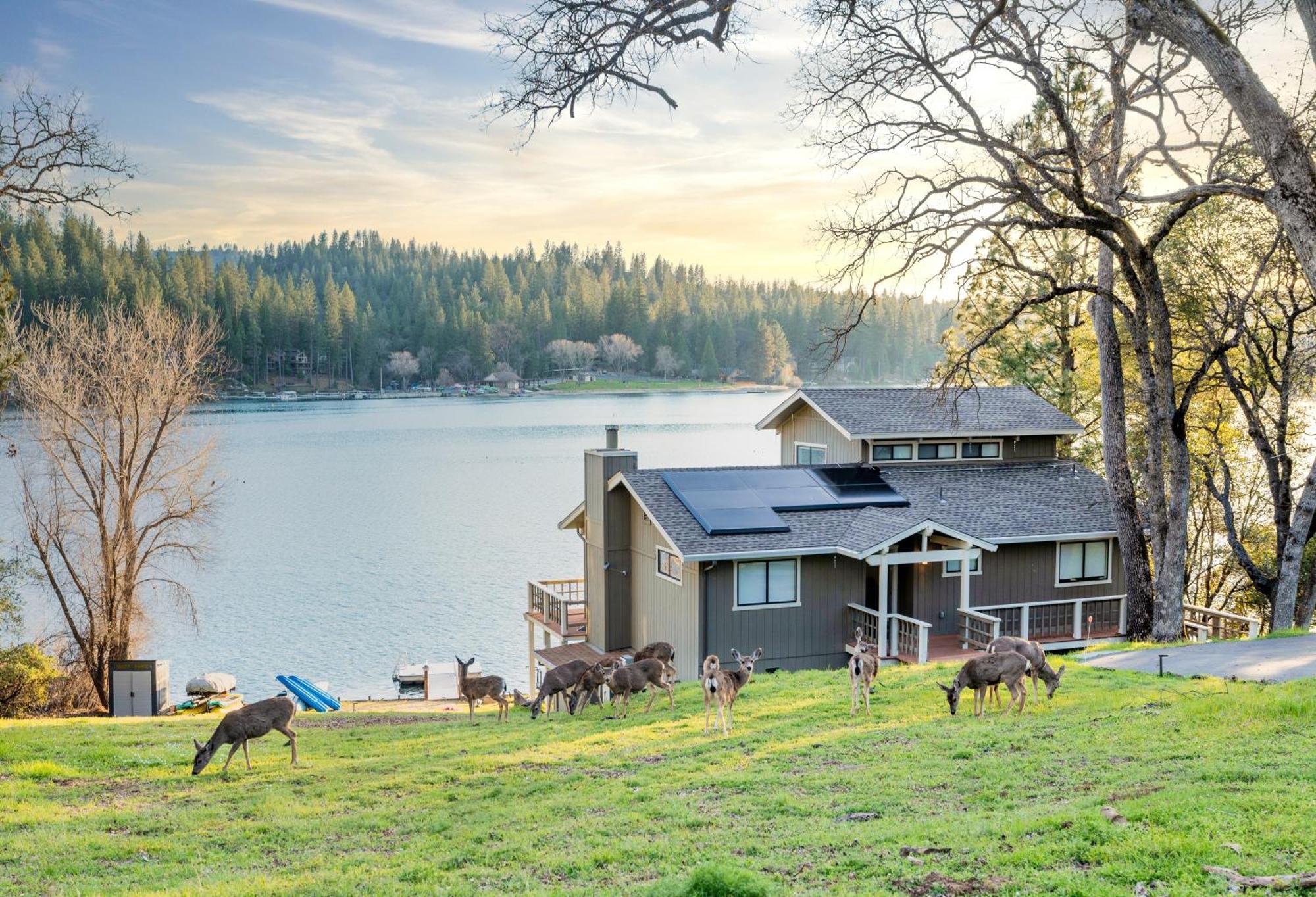 Lakefront With 180 Degree View Private Dock And Boats Villa Groveland